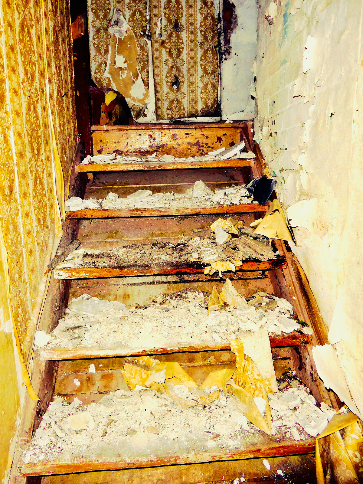 Panasonic Lumix DMC-ZS50 (Lumix DMC-TZ70) sample photo. Abandoned places, the stairs photography