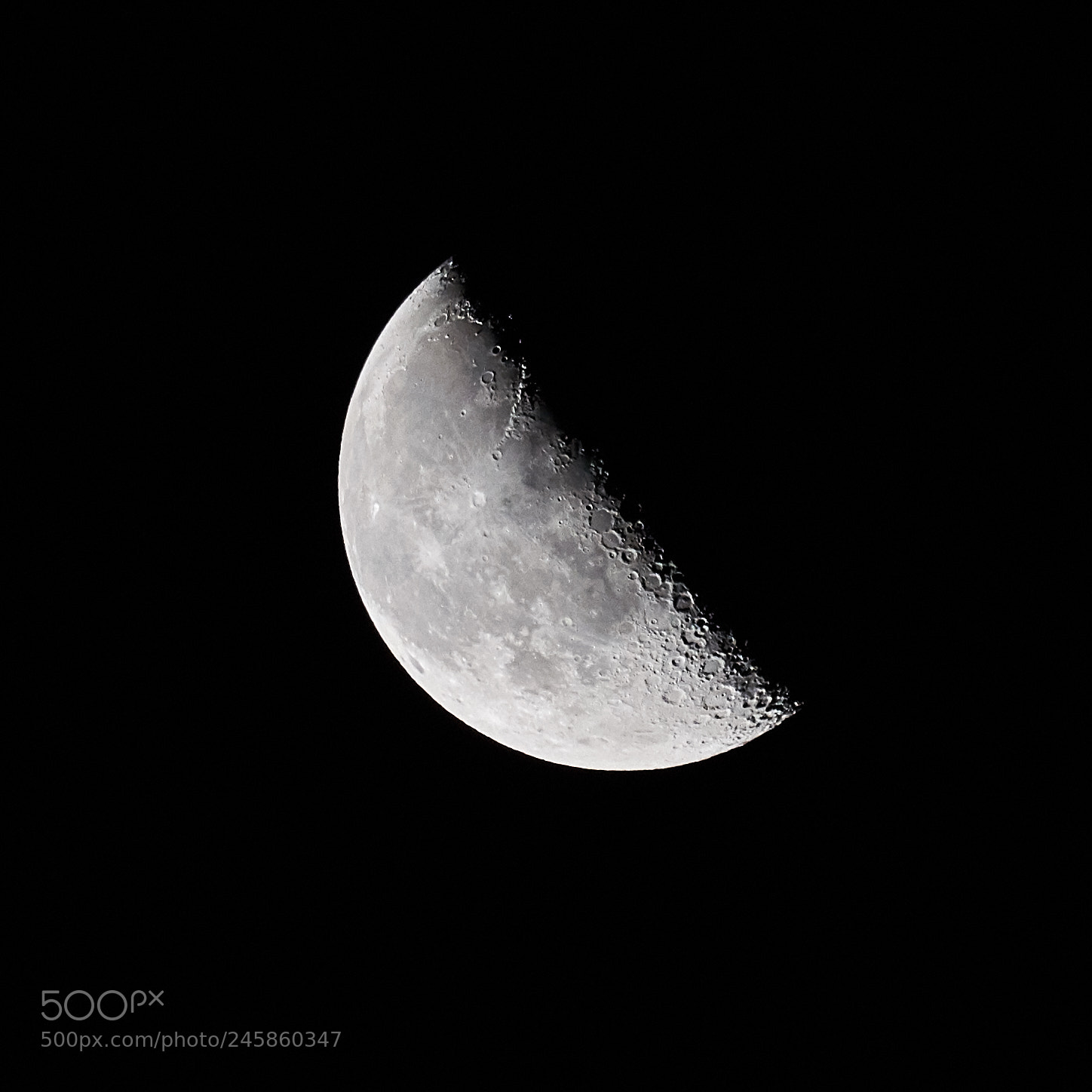 Sony a7R III sample photo. Untitled photography
