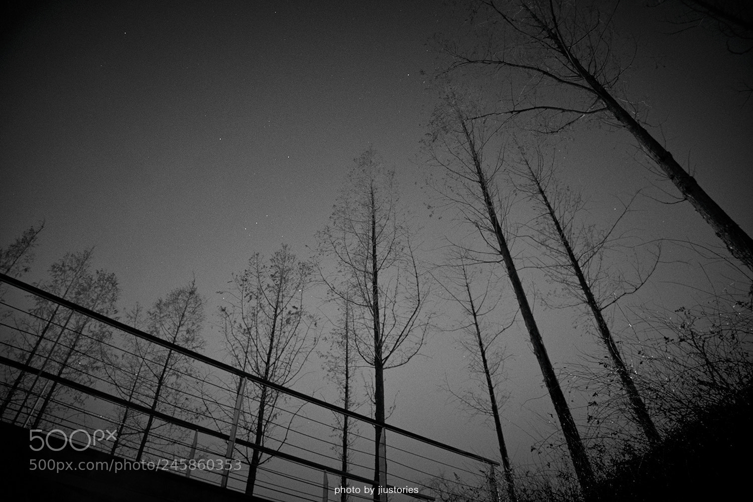 Sony a7R II sample photo. Just - walking with photography