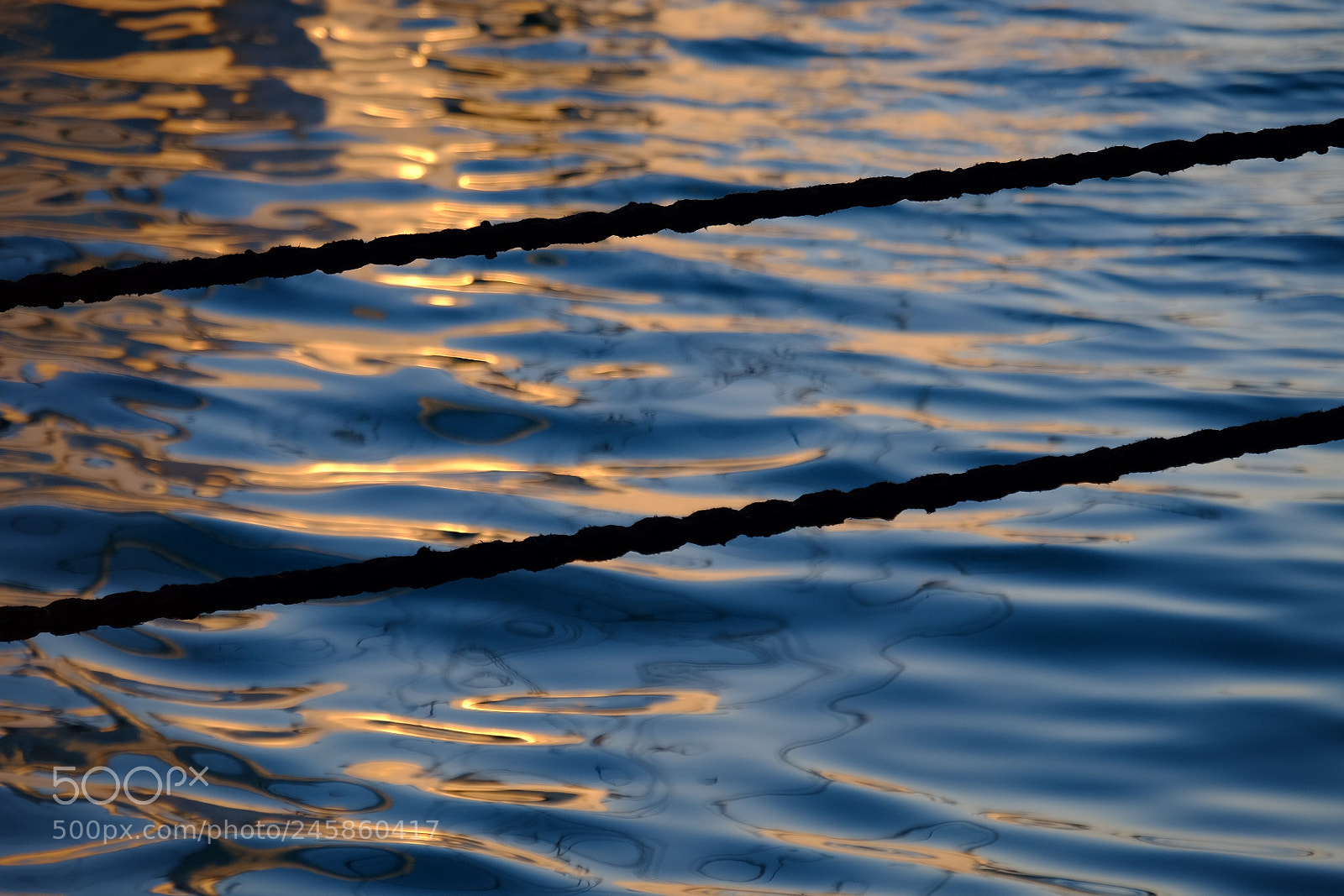 Fujifilm X-T1 sample photo. Untitled photography