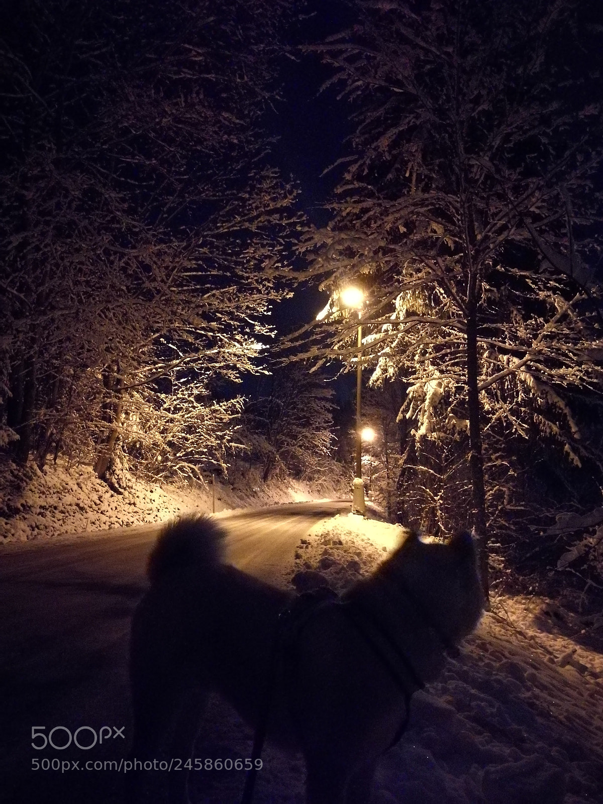 HUAWEI Honor 8 sample photo. Untitled photography
