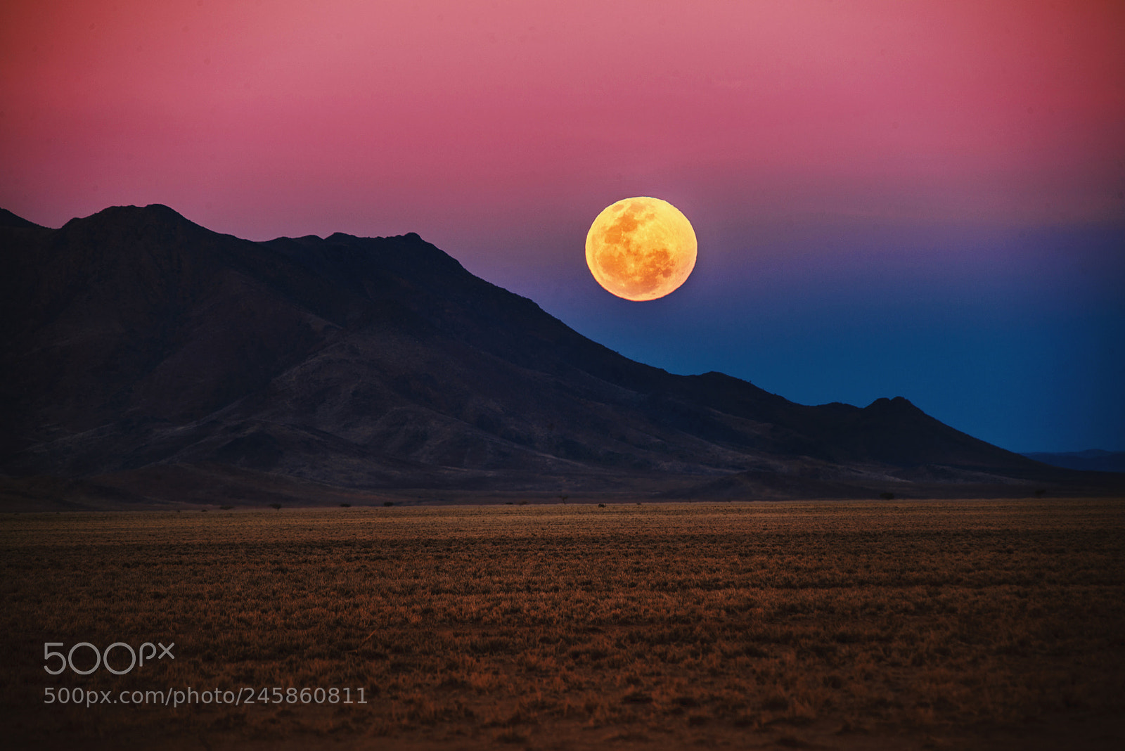 Nikon D800E sample photo. Moonlight photography
