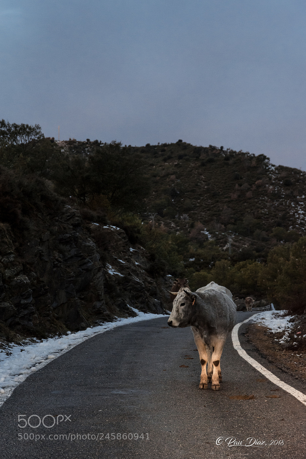 Nikon D7200 sample photo. En ruta! photography