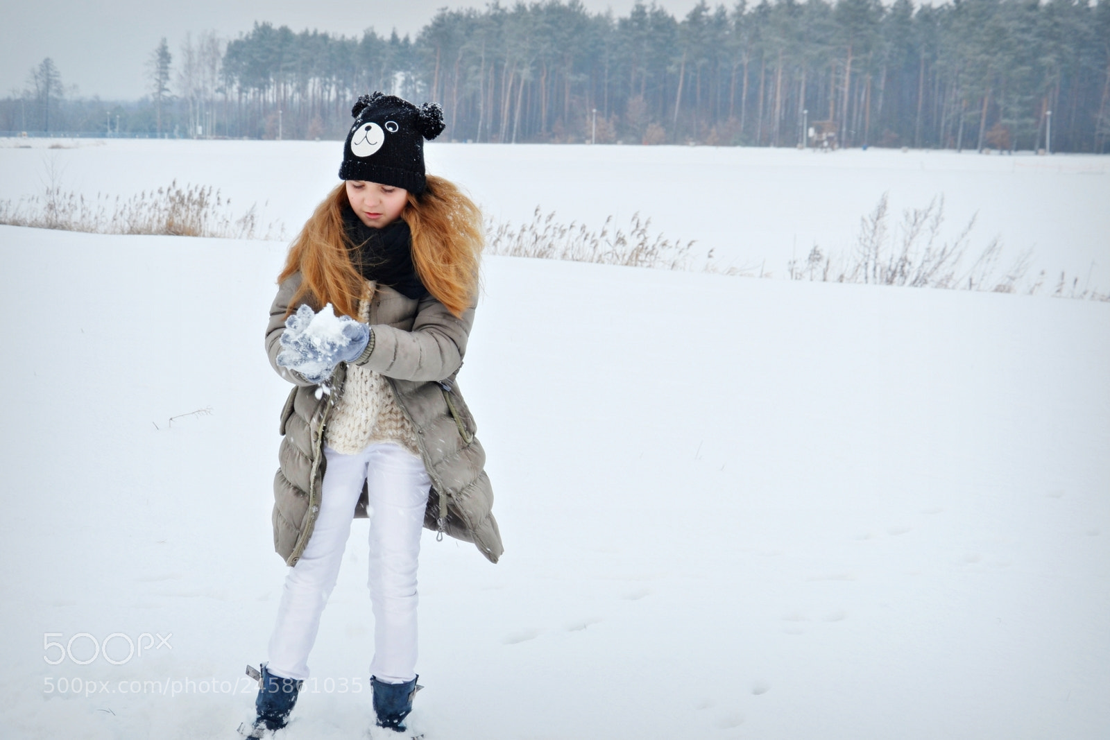 Nikon D3100 sample photo. Winter photography