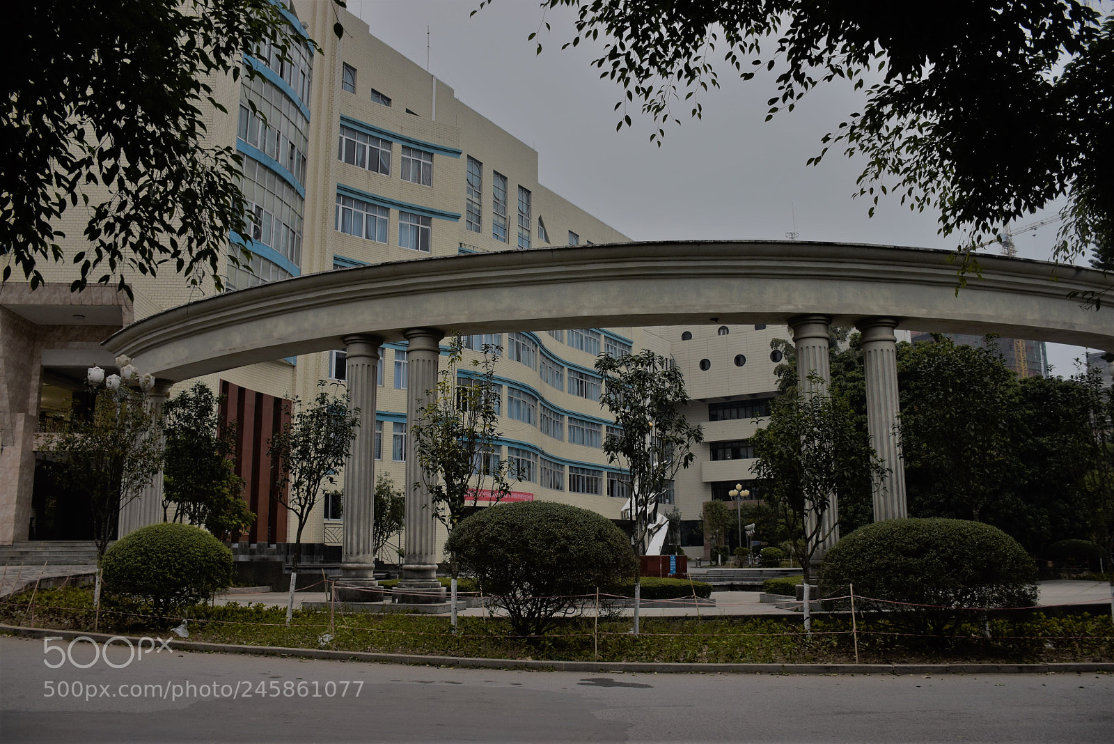 Nikon D5500 sample photo. Special moment for school photography