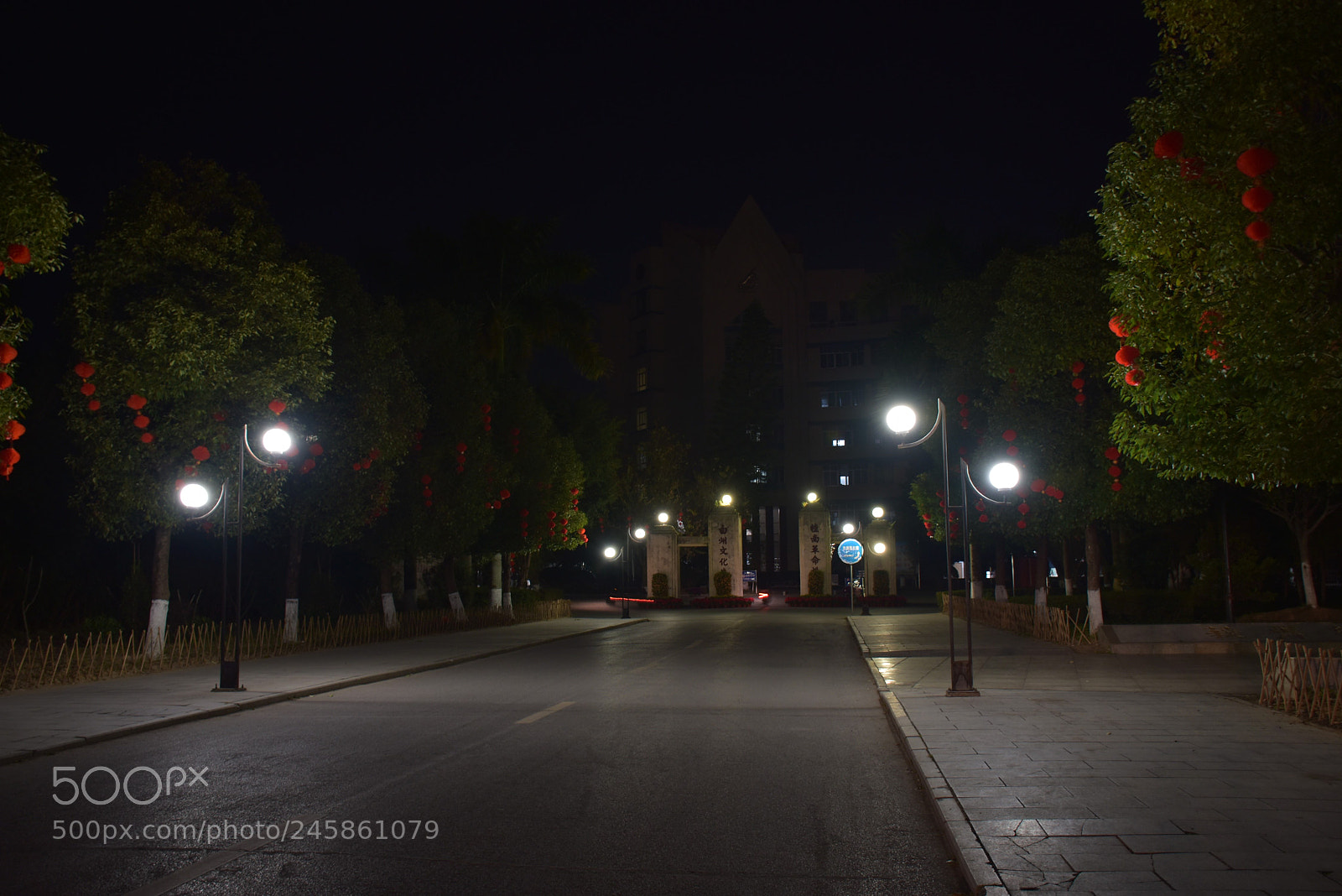 Nikon D5500 sample photo. Special moment for school photography