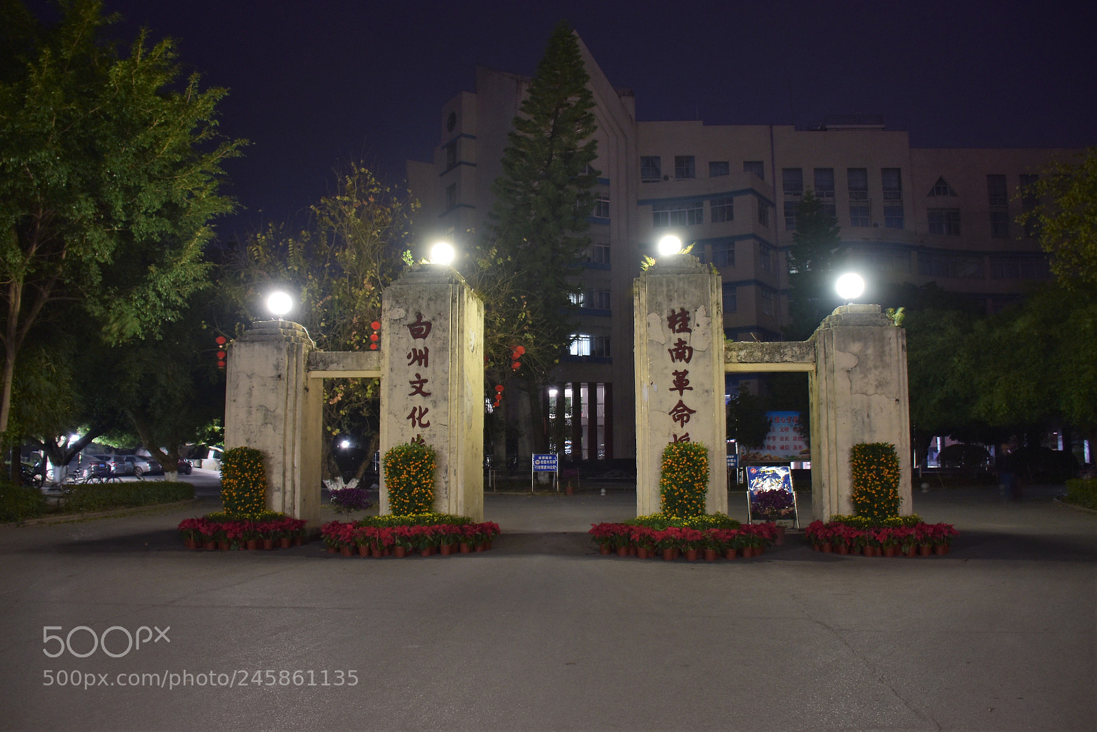 Nikon D5500 sample photo. Special moment for school photography