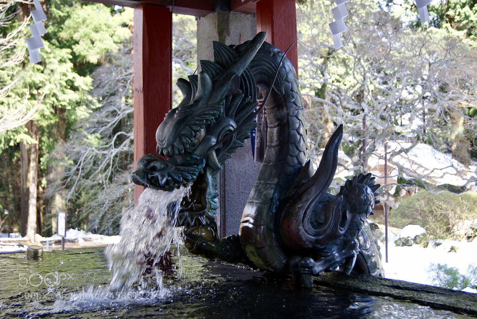 Sony Alpha DSLR-A330 sample photo. 北口本宮富士浅間神社の水舎の龍 photography