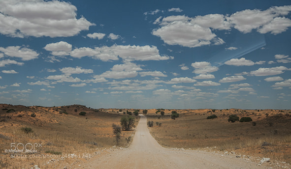 Nikon D300S sample photo. Long and narrow path photography