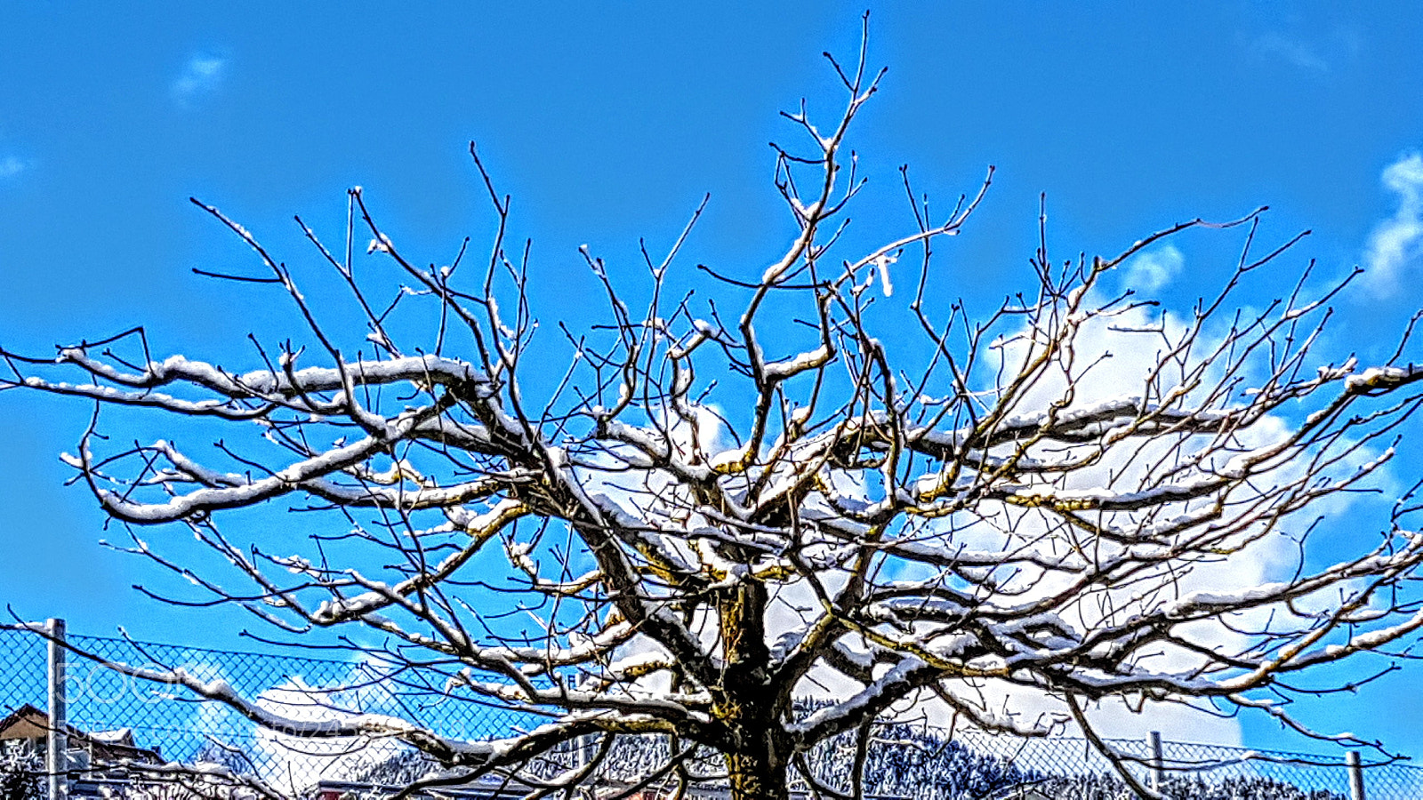 Samsung Galaxy S7 Edge sample photo. Untitled photography