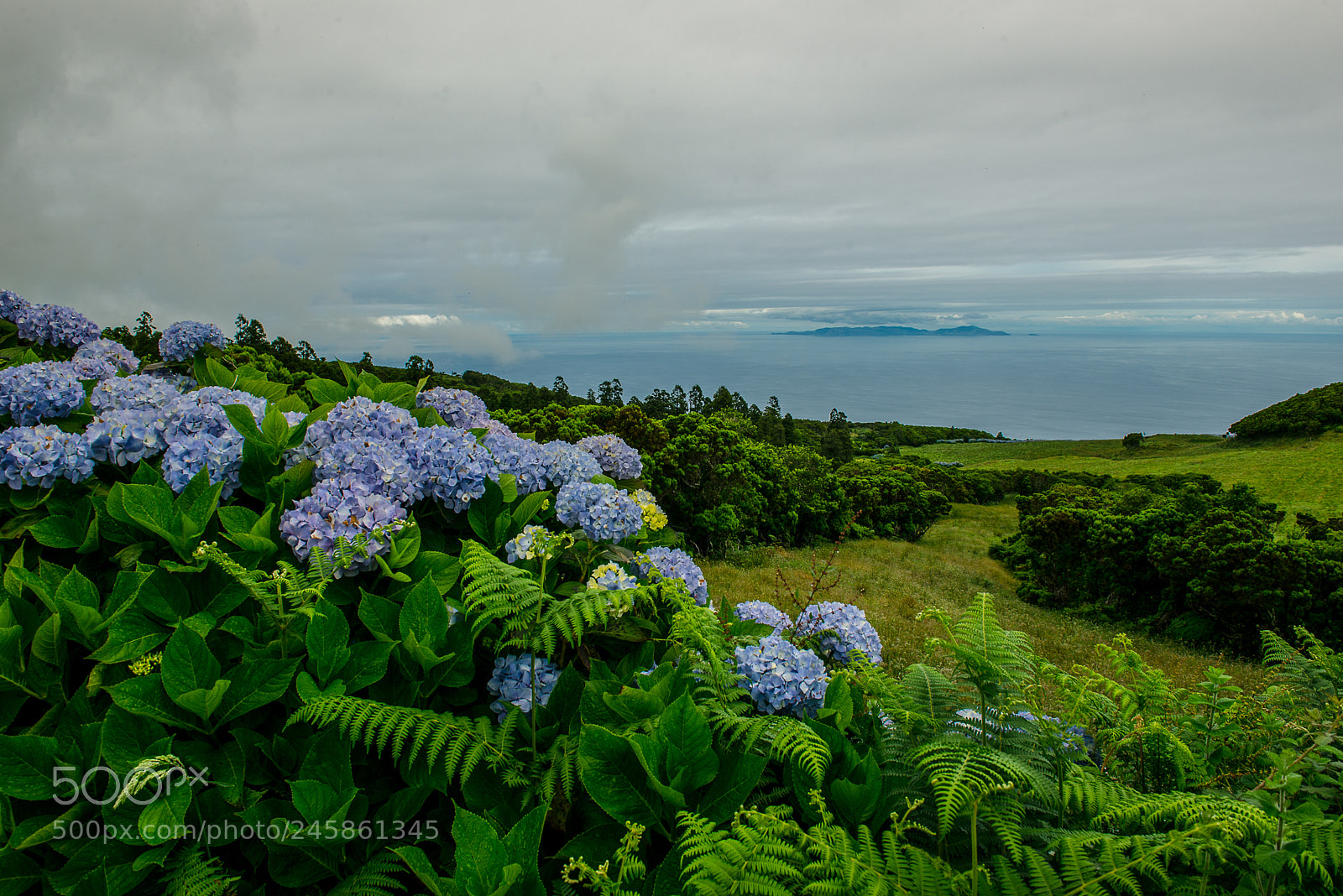 Nikon D610 sample photo. No horizonte... photography