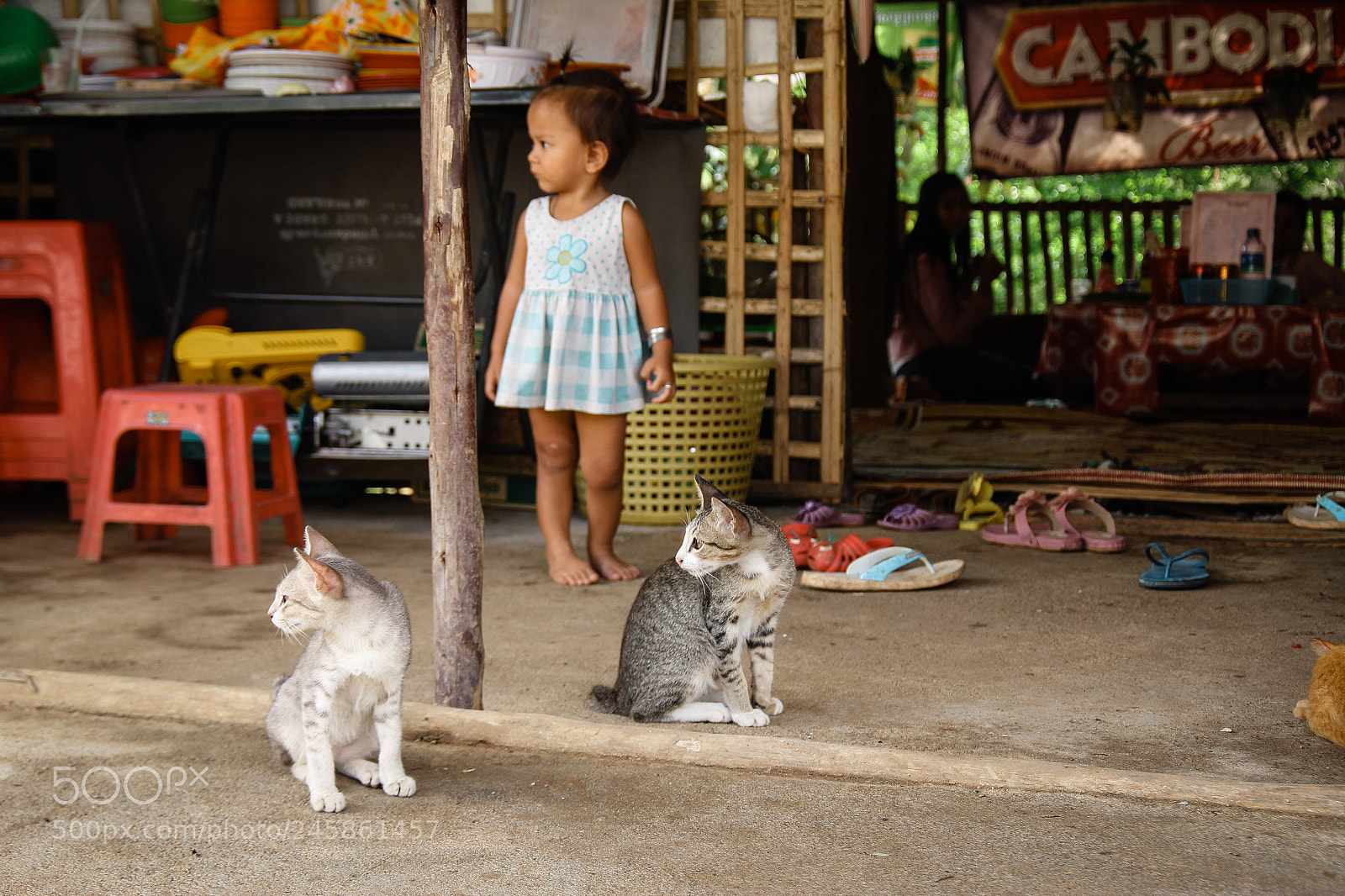 Canon EOS 550D (EOS Rebel T2i / EOS Kiss X4) sample photo. Battambang/cambodia photography