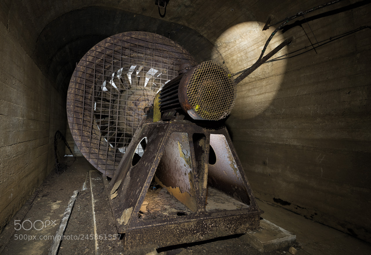 Nikon D600 sample photo. Giant fan photography