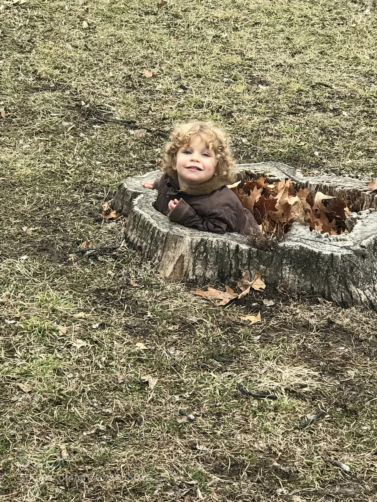 Apple iPhone 7 Plus sample photo. Fall fun photography