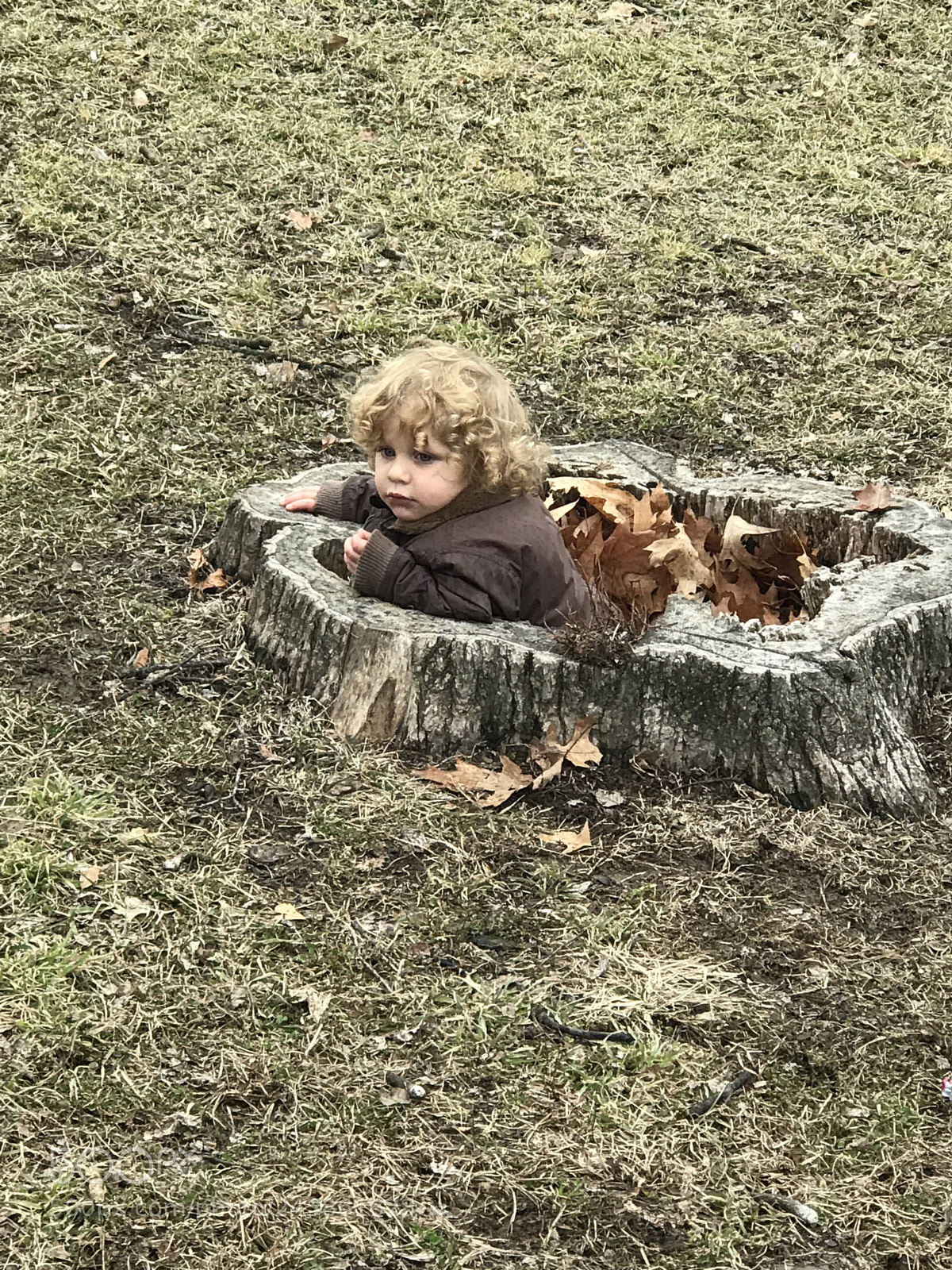 Apple iPhone 7 Plus sample photo. Fall fun photography
