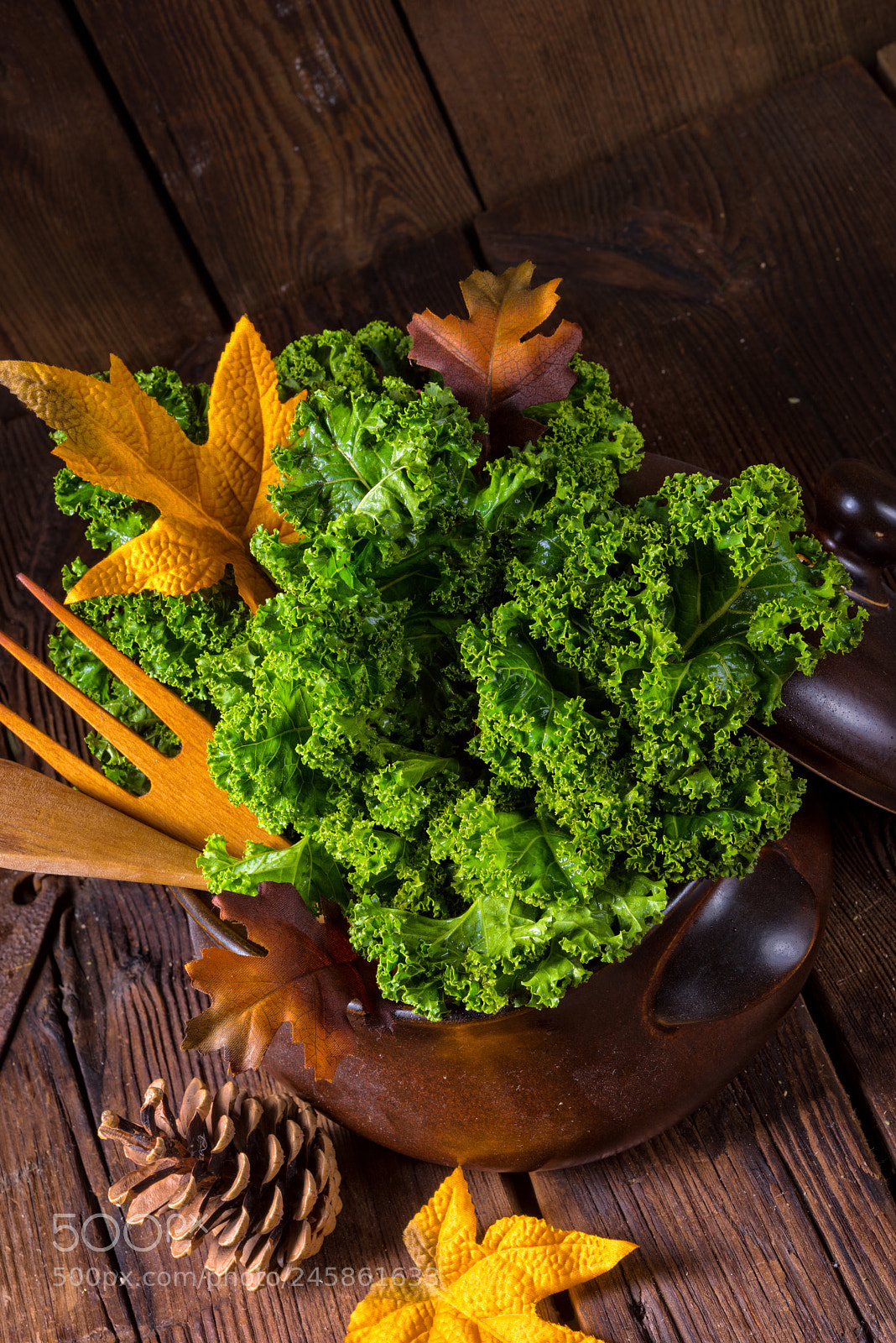 Nikon D810 sample photo. Kale brassica oleracea photography