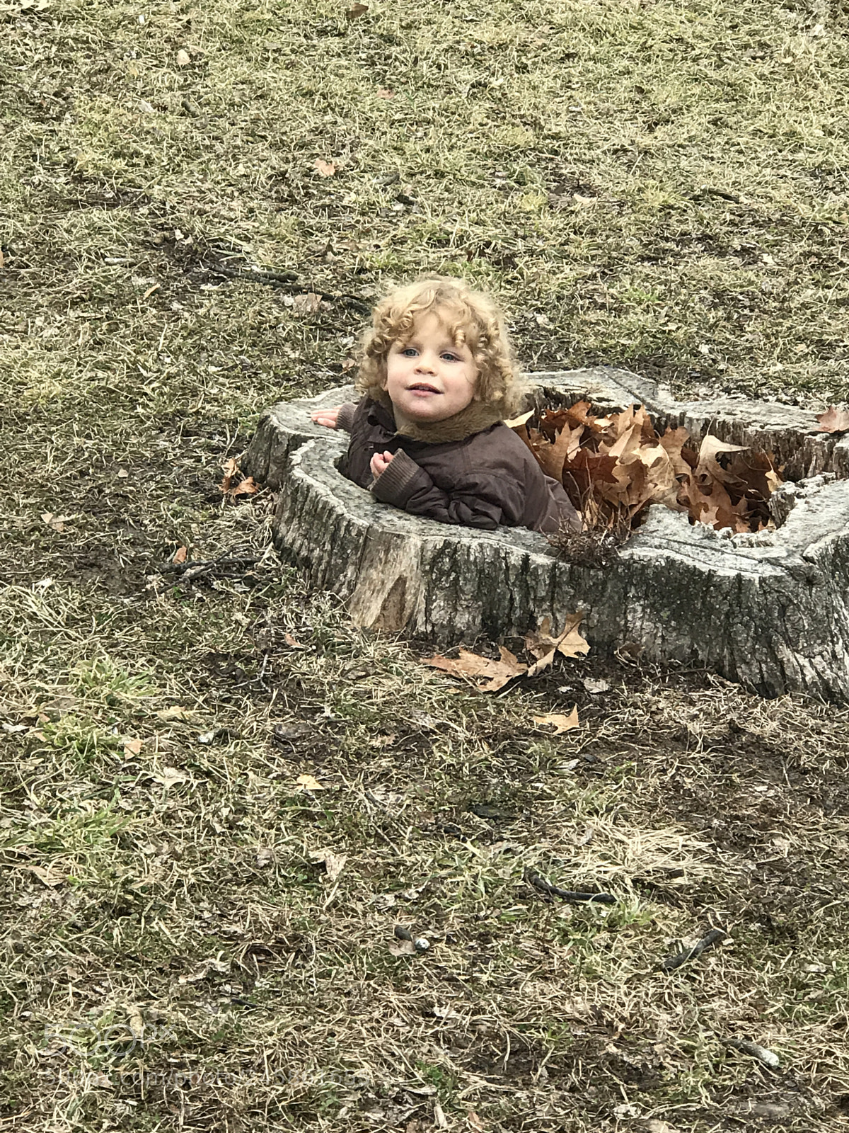Apple iPhone 7 Plus sample photo. Fall fun photography