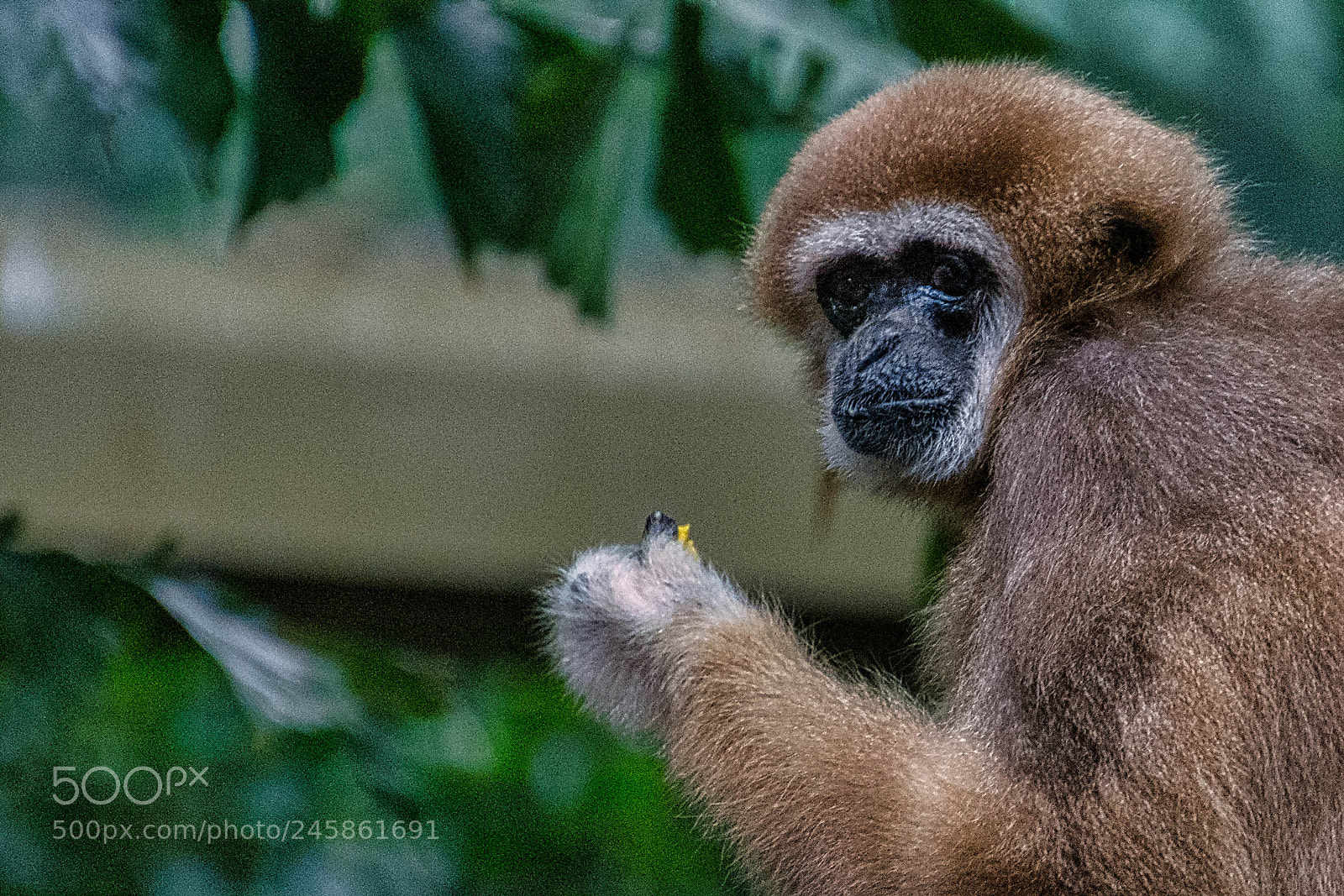 Nikon D7200 sample photo. Do you mind? luminar2018 photography