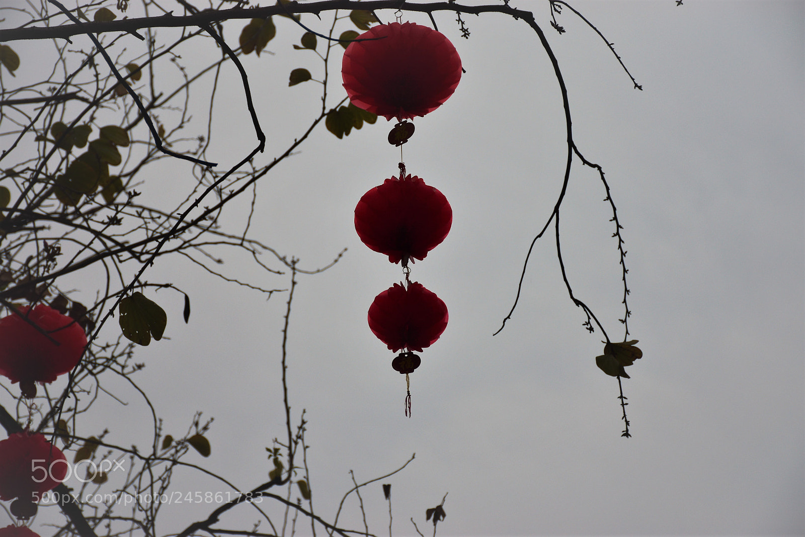 Nikon D5500 sample photo. Before festival photography