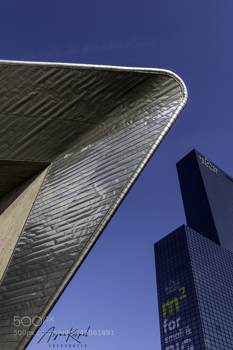 Nikon D810 sample photo. Rotterdam central station photography