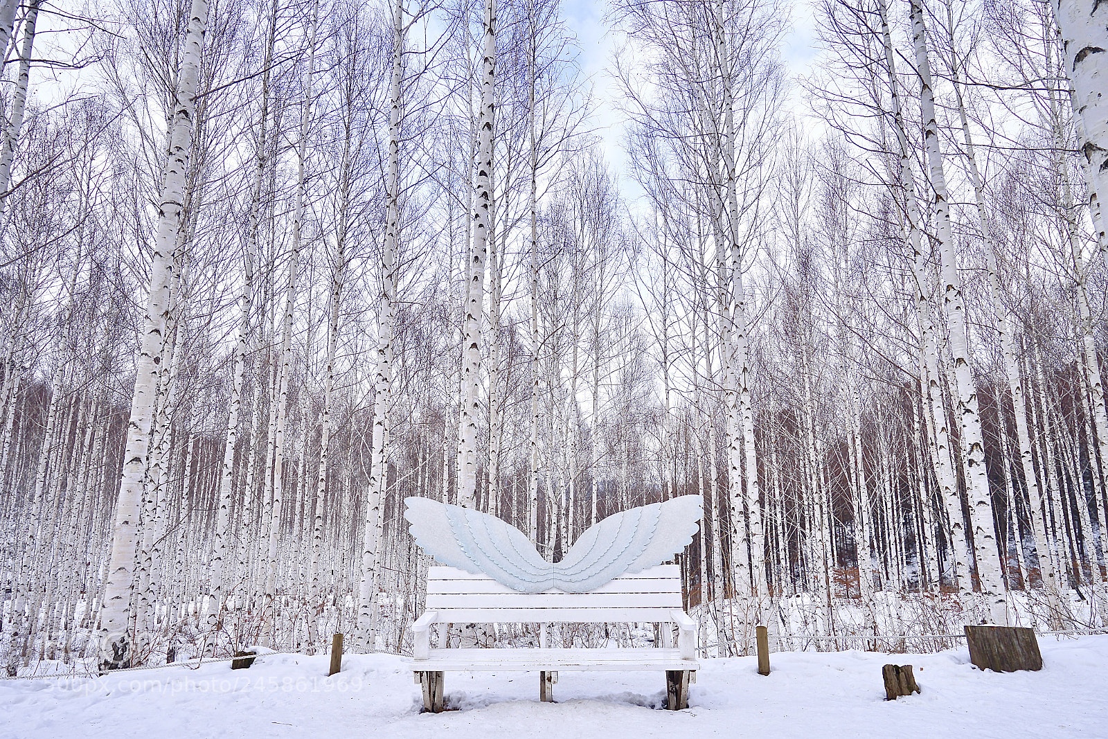Sony a7 II sample photo. Winter photography