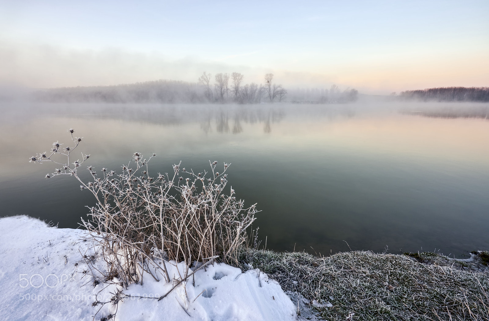 Sony a7R III sample photo. Dsc photography