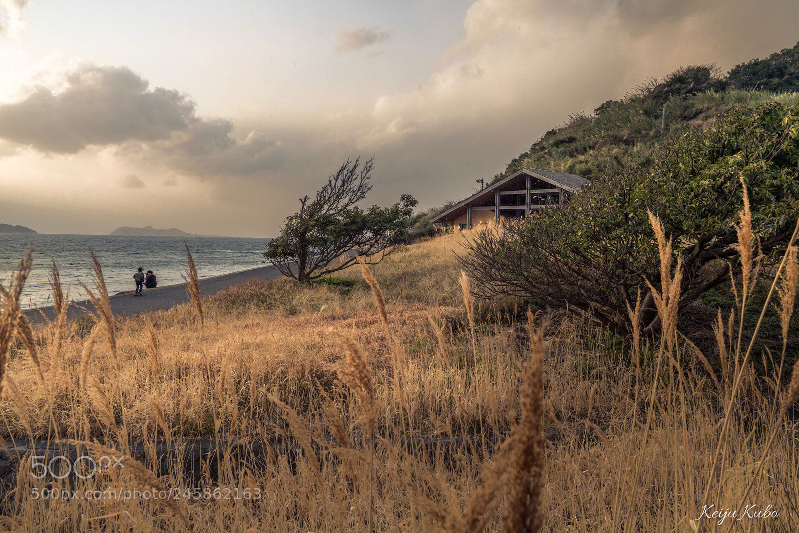 Sony a7R III sample photo. Life by the sea photography