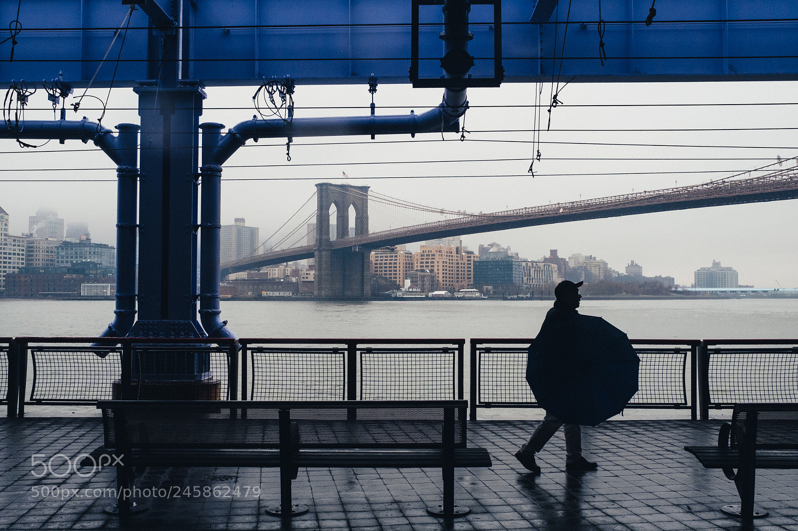 Fujifilm X-T2 sample photo. Walks in the rain photography