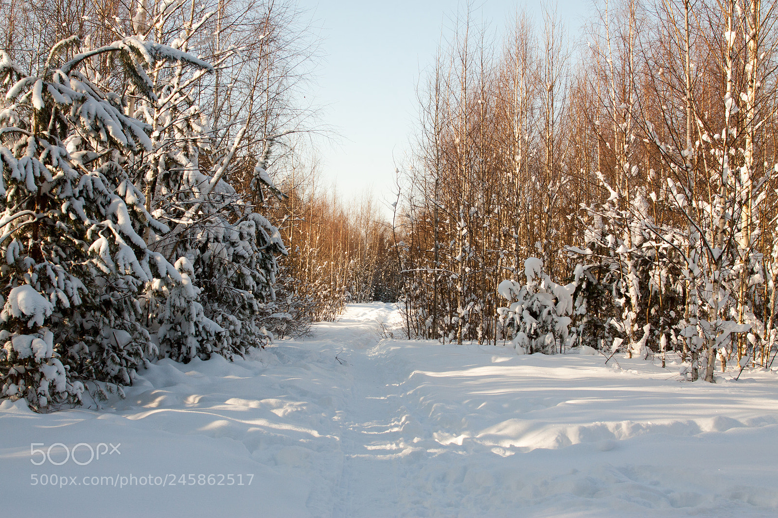 Canon EOS 50D sample photo. Img photography
