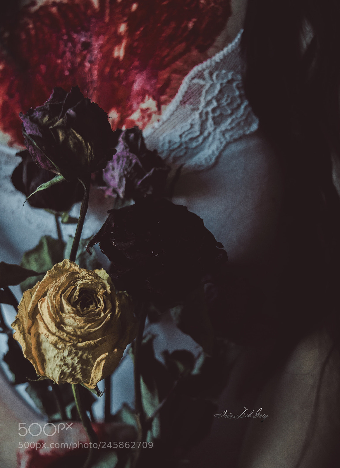 Canon EOS 700D (EOS Rebel T5i / EOS Kiss X7i) sample photo. Flowers for my valentine photography