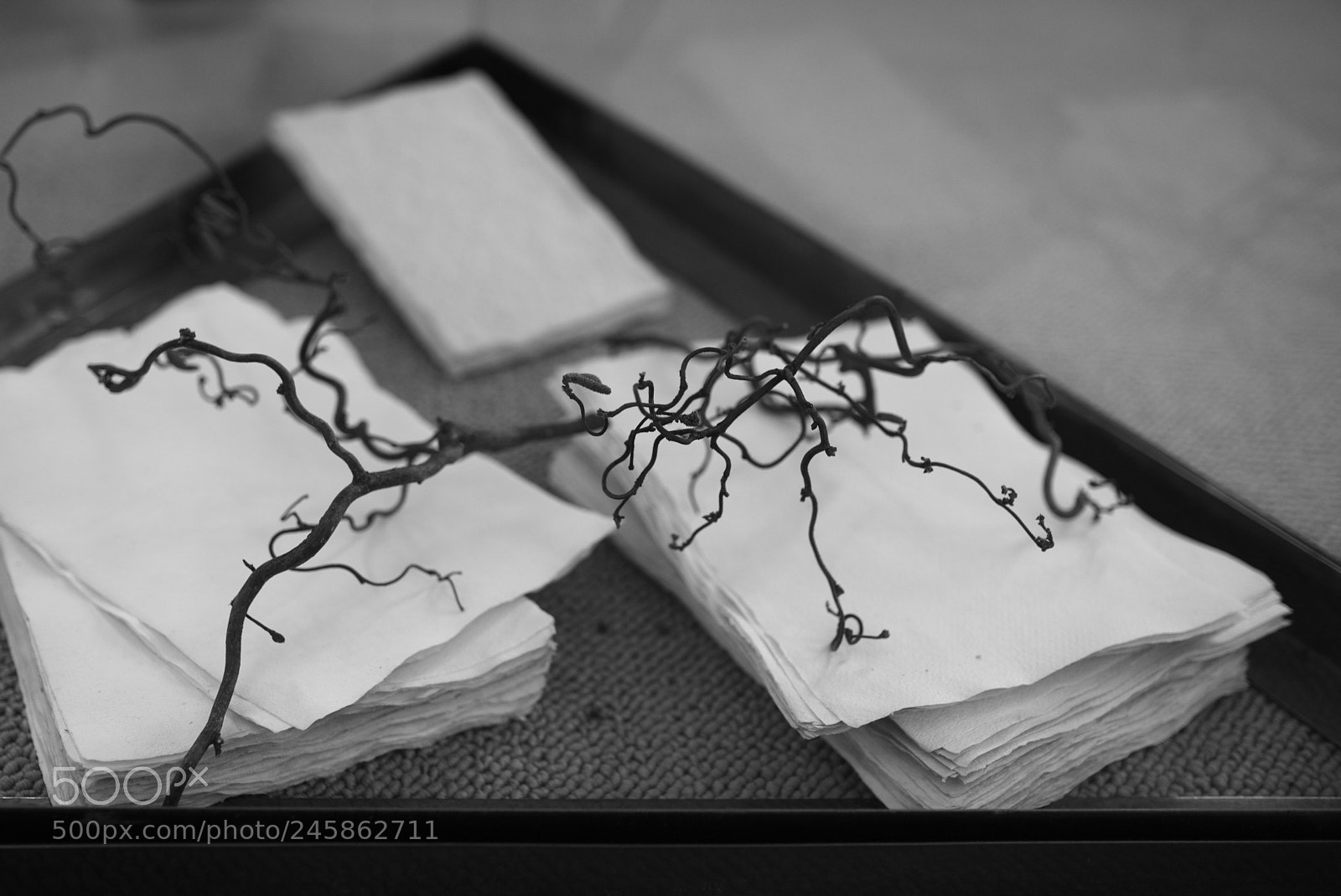 Nikon D700 sample photo. Paper structure photography