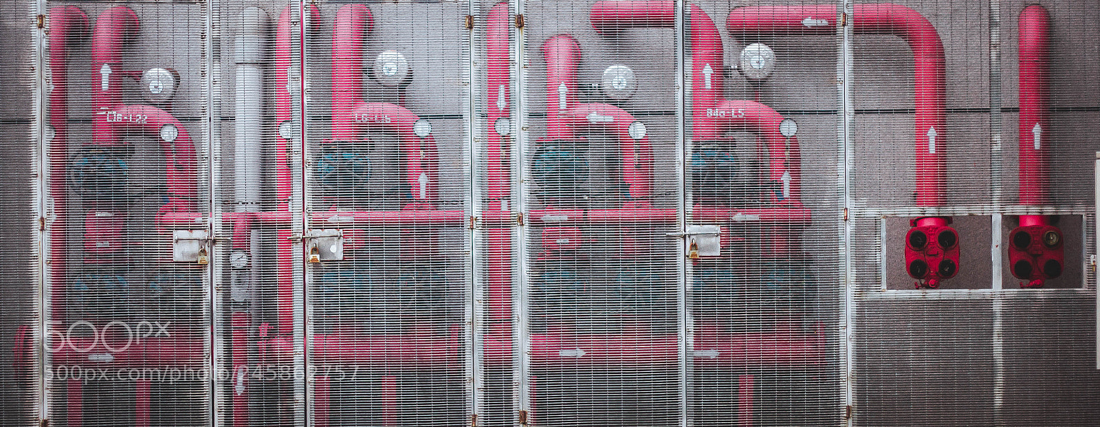 Canon EOS 60D sample photo. Which way? photography