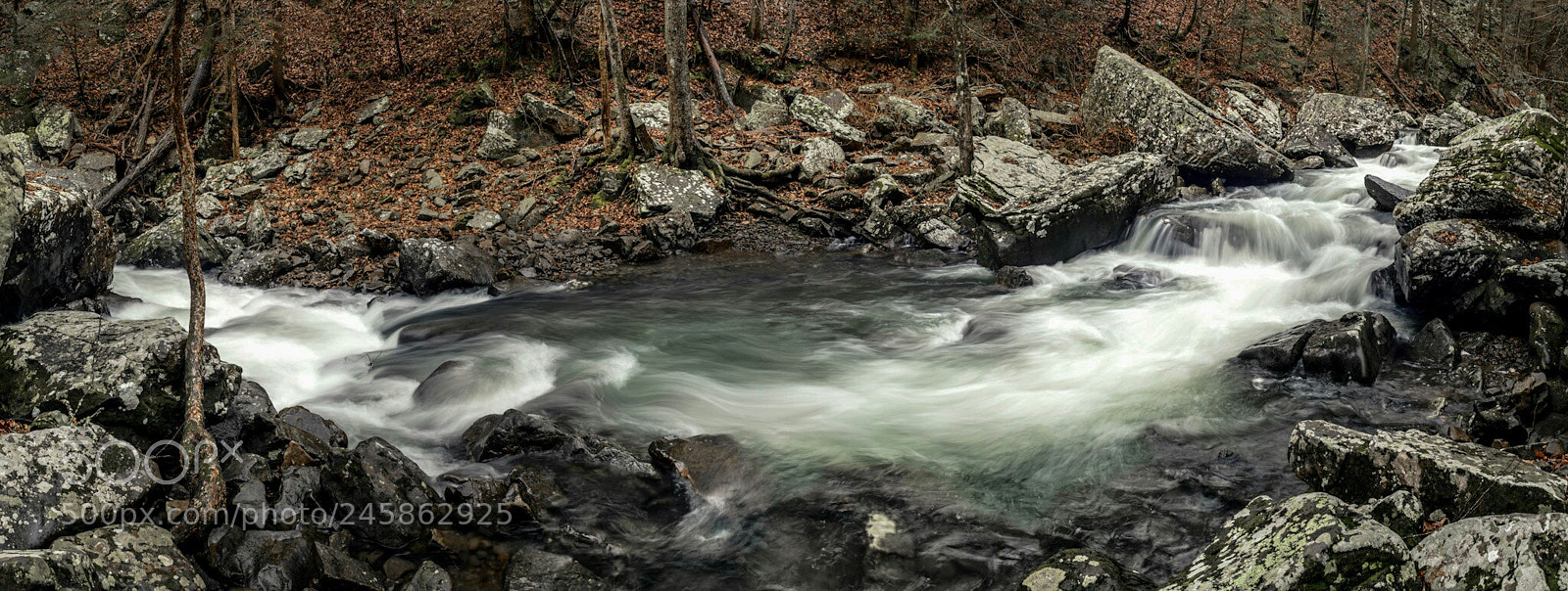 Nikon D7100 sample photo. Creek photography