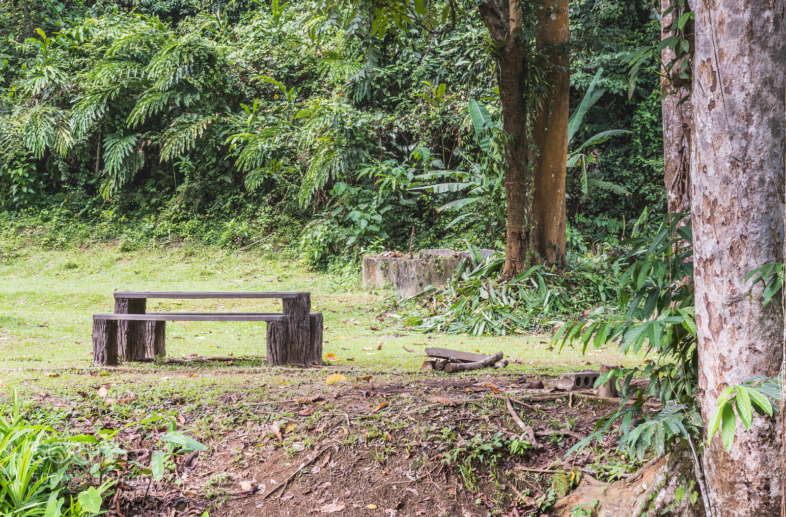 Nikon D7200 sample photo. Bench in national park photography