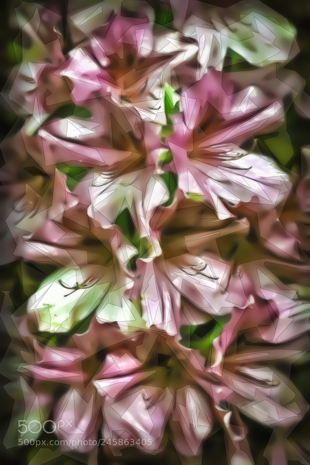 Canon EOS 50D sample photo. Azalea salad photography