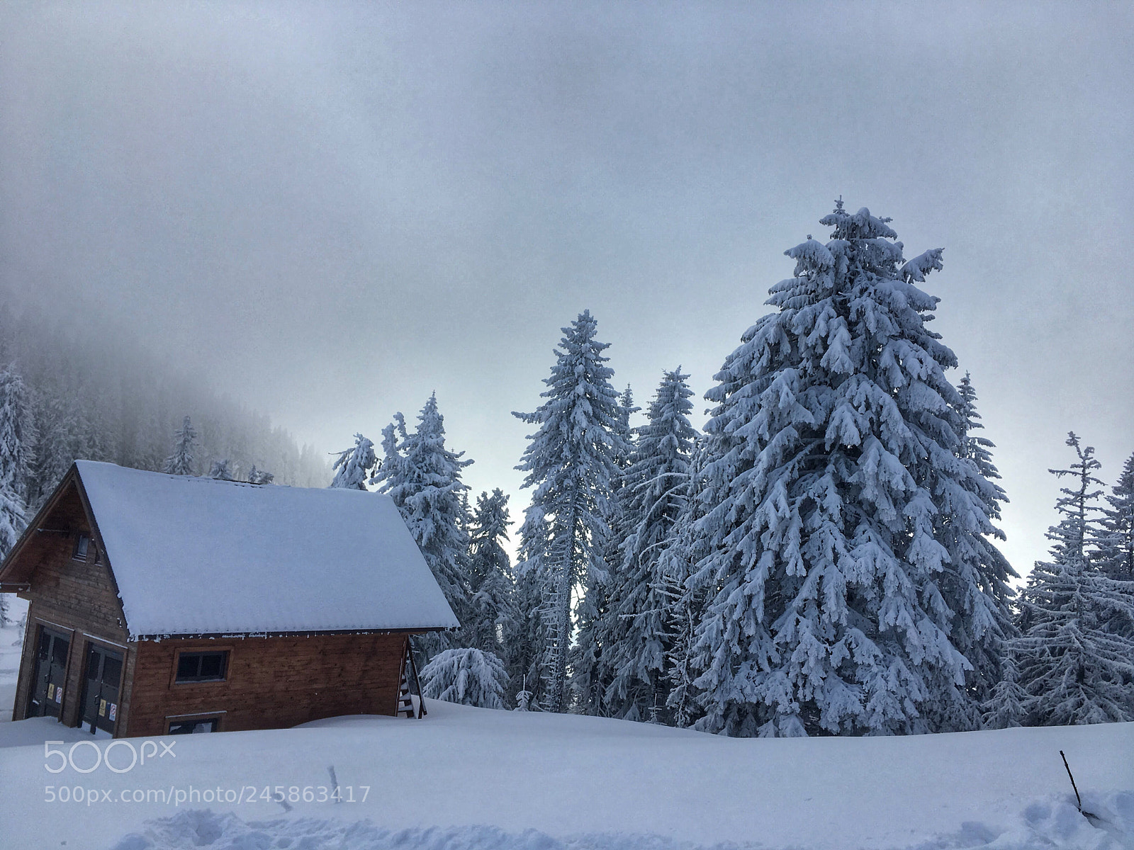 Apple iPhone SE sample photo. Snow painting photography