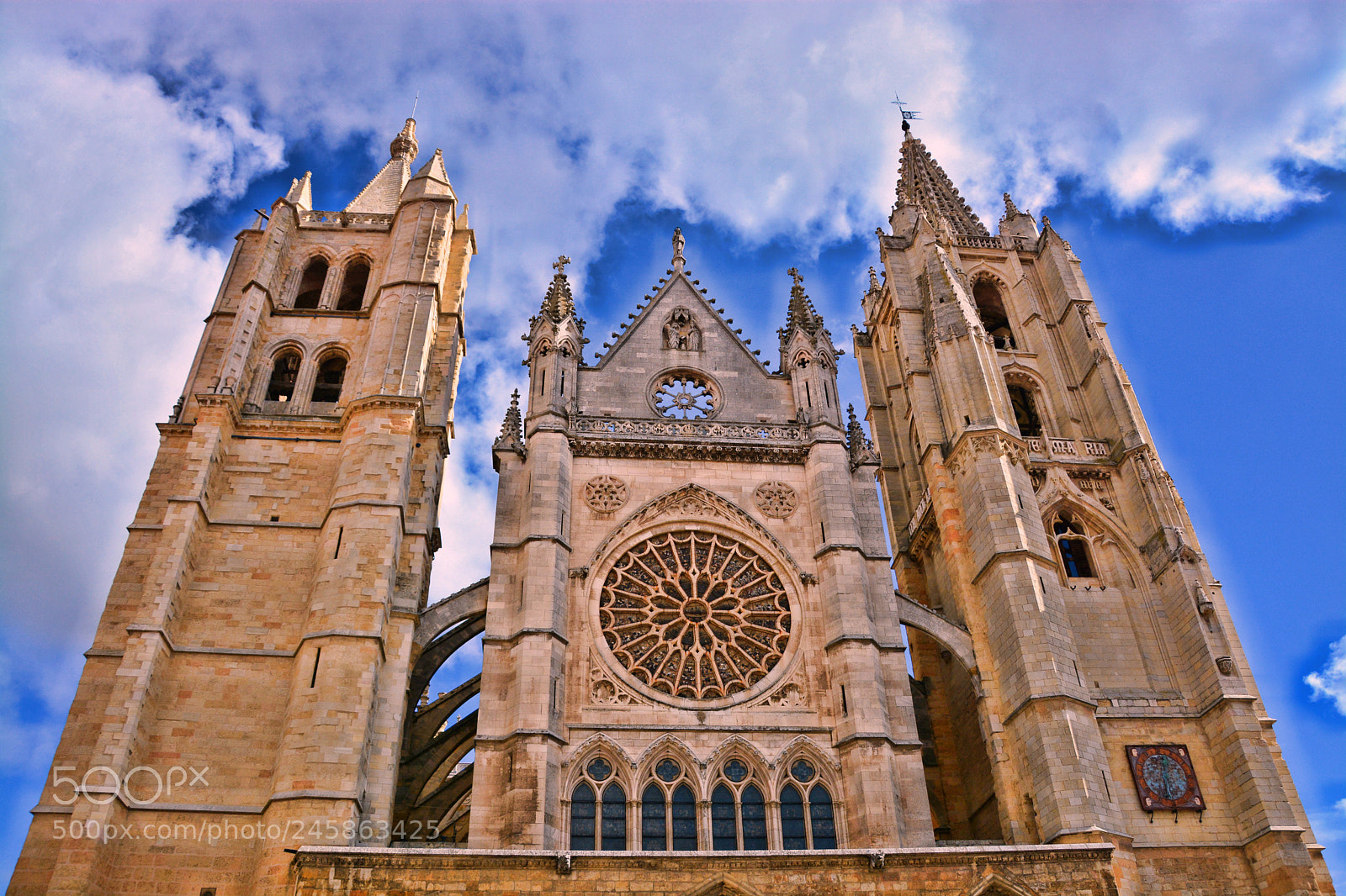 Nikon D7100 sample photo. La pulcra leonina photography