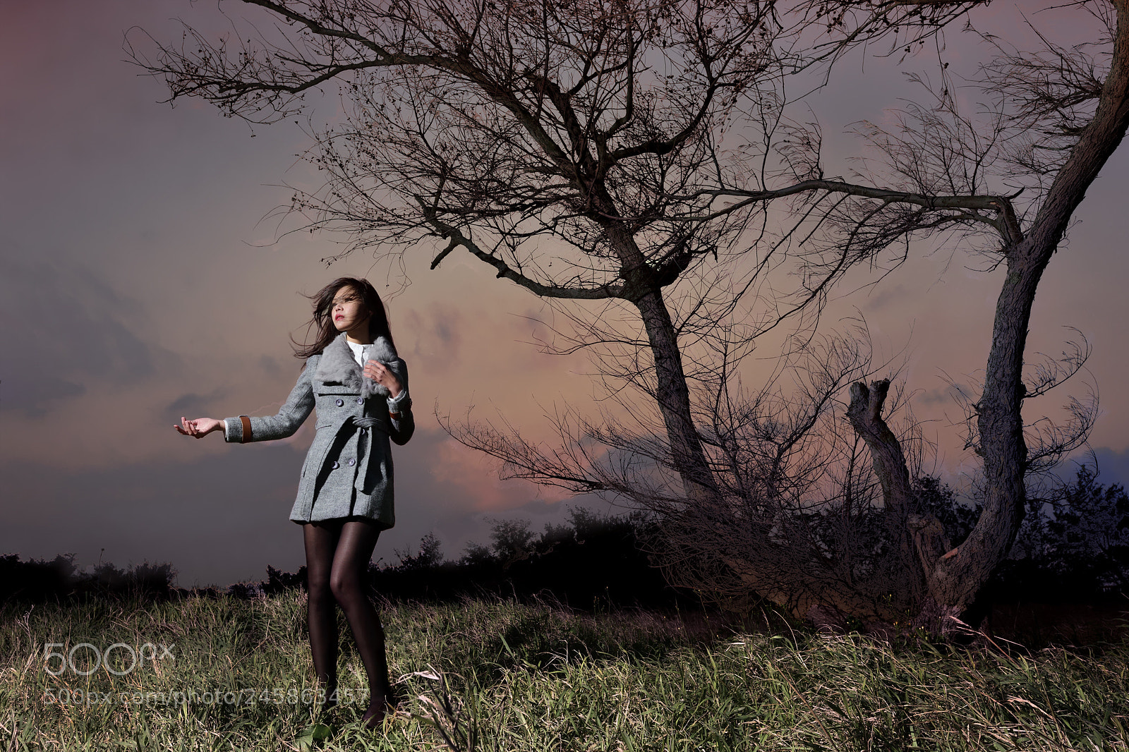 Nikon D810 sample photo. Elegant photography