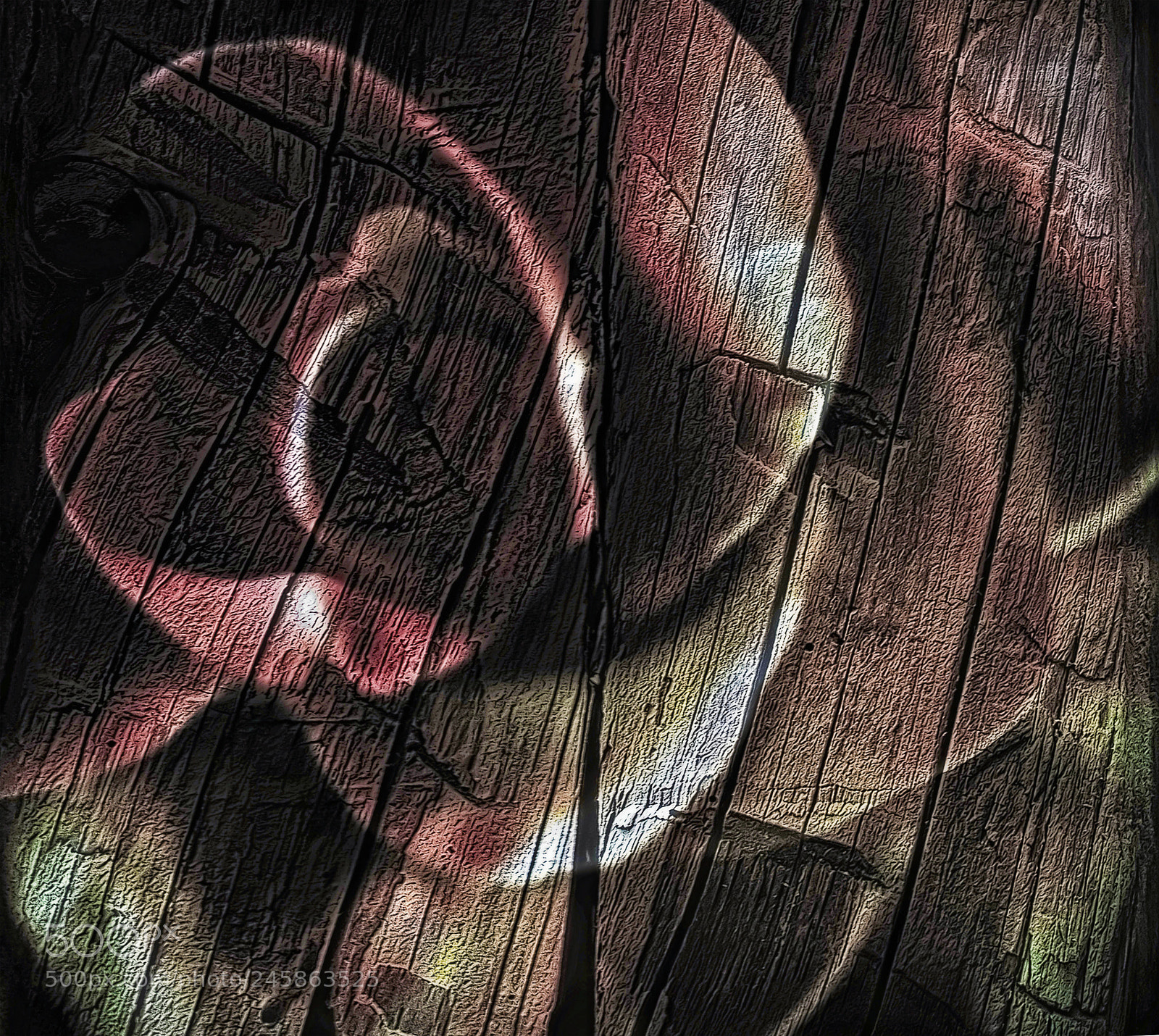 Canon EOS 50D sample photo. Wood rose photography