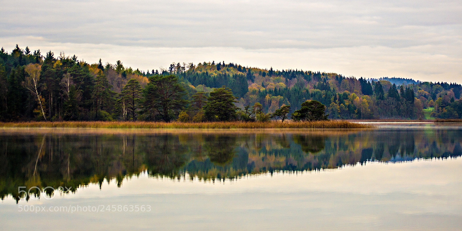 Nikon D3100 sample photo. My panoramic stripe photography