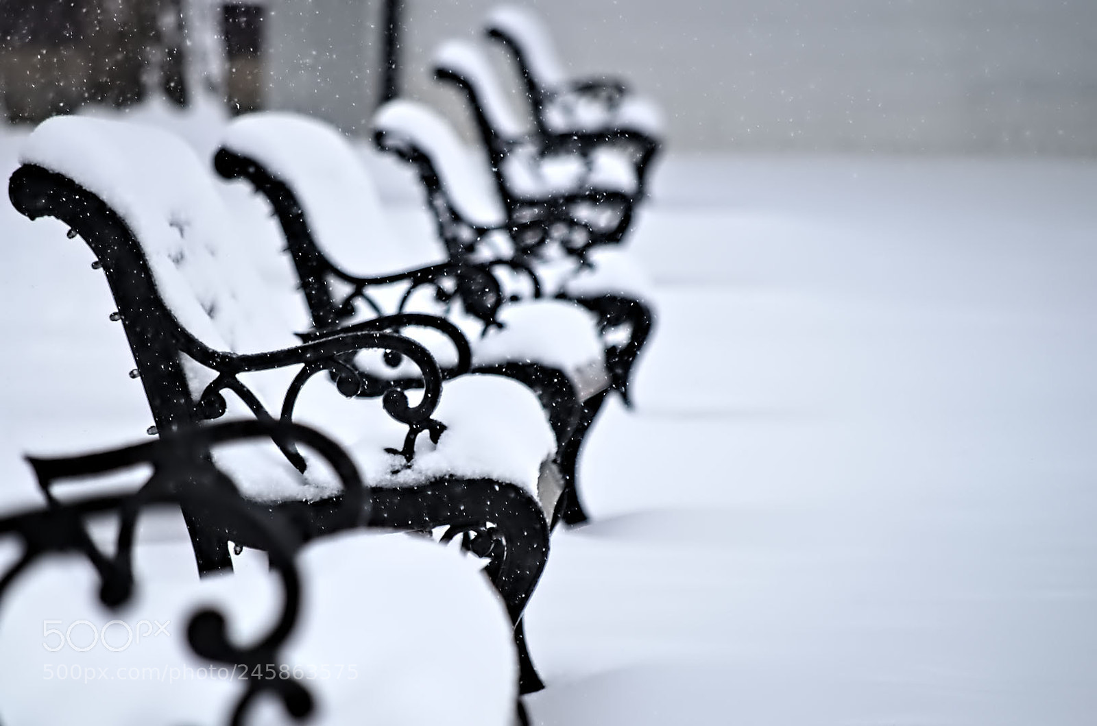 Pentax K-50 sample photo. Front row seats photography