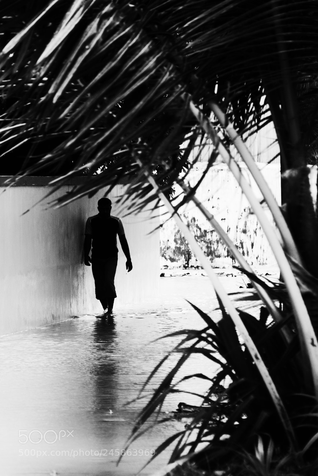 Nikon D800 sample photo. Silhouette photography
