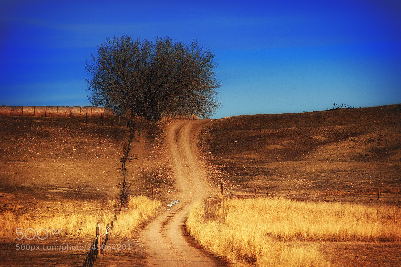 Canon EOS 7D Mark II sample photo.  country roads xiv photography