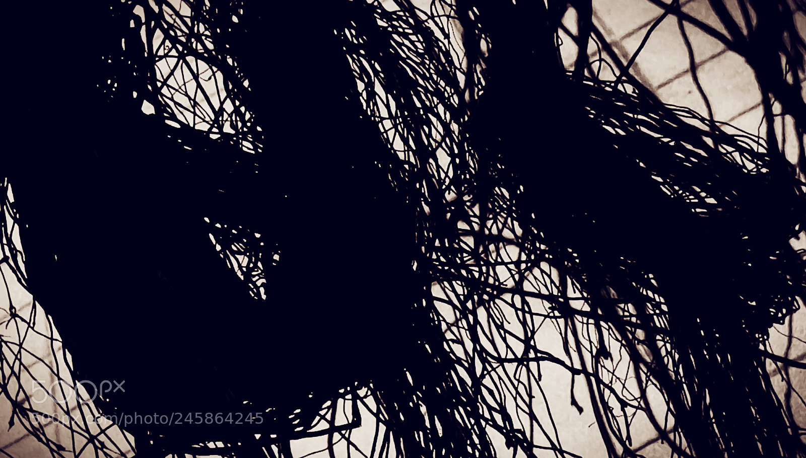 HTC D728X sample photo. Chinese painting photography