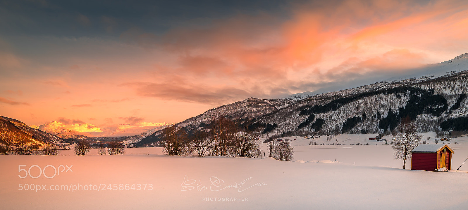 Nikon D850 sample photo. Golden sunset photography