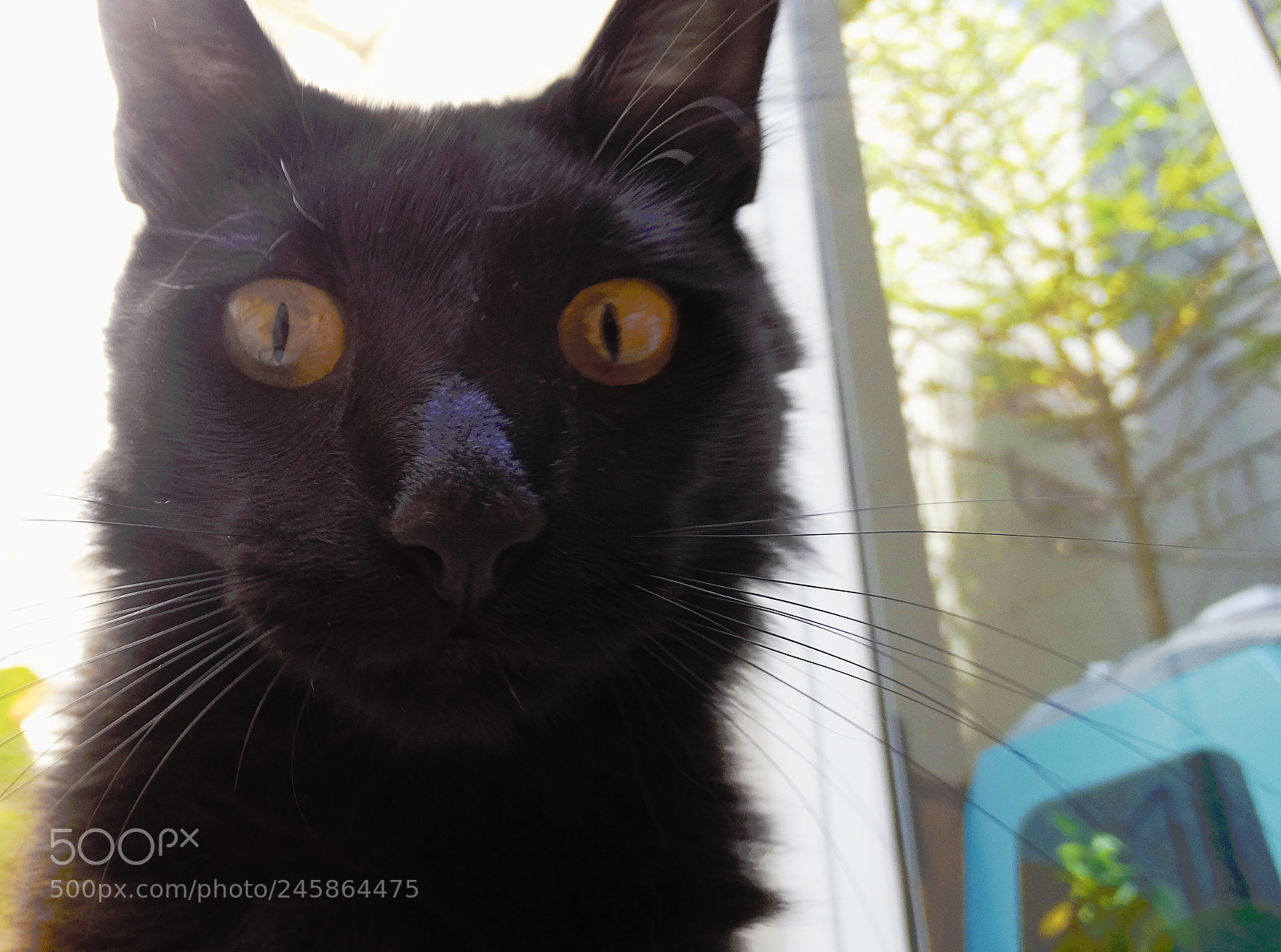 Sony Cyber-shot DSC-HX300 sample photo. Maikel photography