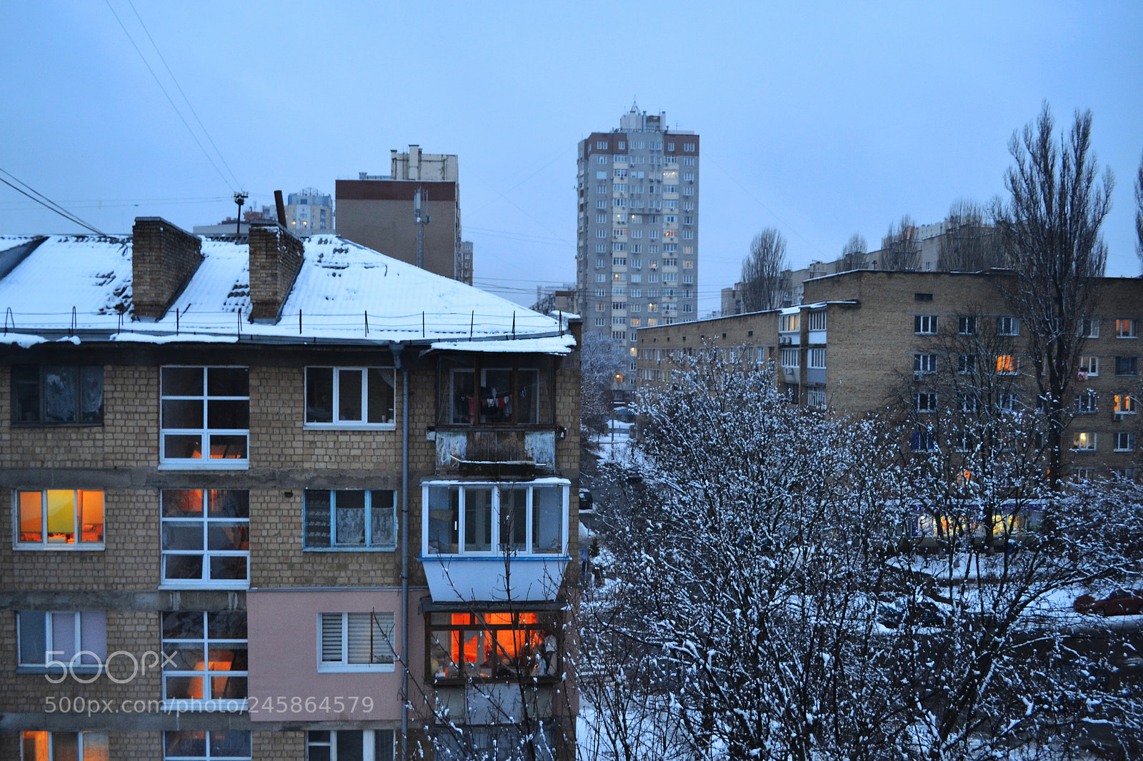Nikon D3100 sample photo. Cold weather photography