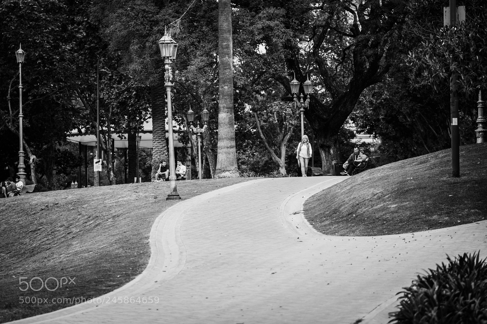 Sony a6300 sample photo. Senderos de barrancas photography