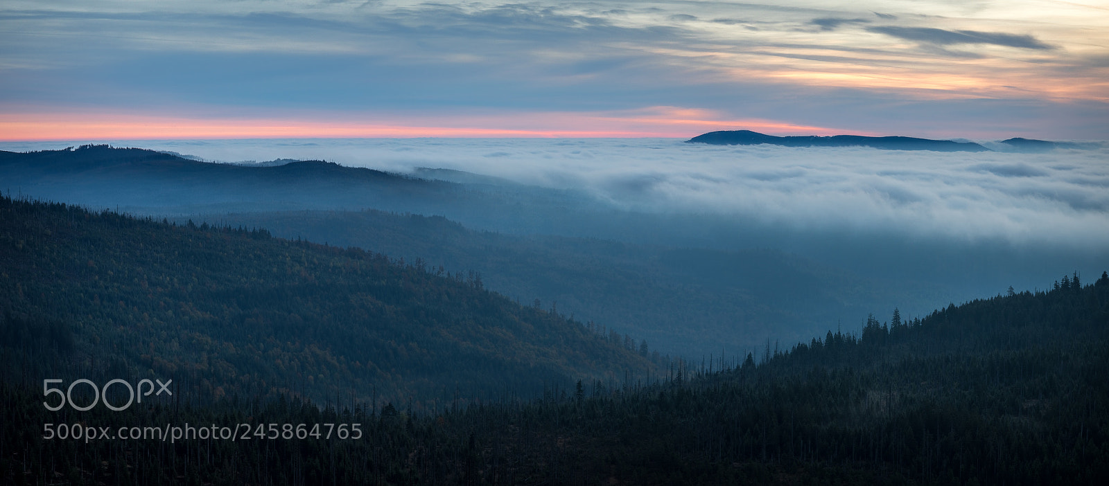 Olympus OM-D E-M1 sample photo. Fog bank photography