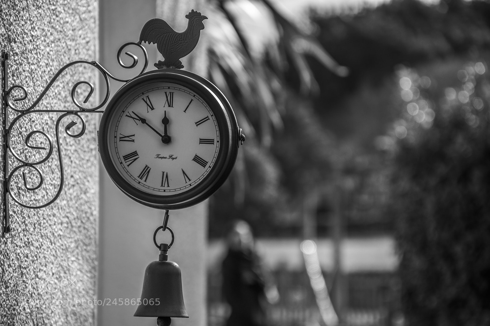 Nikon D5500 sample photo. Dslr photography